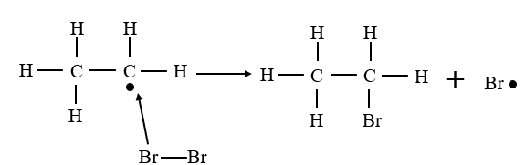 The ethyl free radical reacts with a Bromine molecule